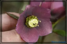 comp_DSC02981.webp