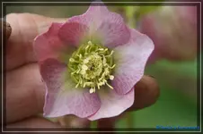 comp_DSC02983.webp
