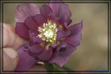 comp_DSC02984.webp