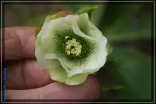 comp_DSC02985.webp