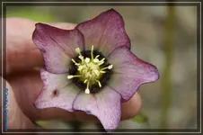 comp_DSC02987.webp