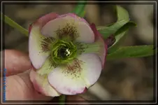 comp_DSC02991.webp