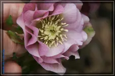 comp_DSC02992.webp