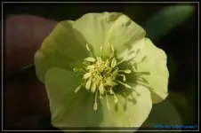 comp_DSC02994.webp