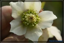 comp_DSC02995.webp