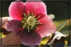 comp_DSC02996.webp