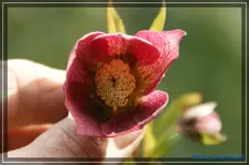 comp_DSC02997.webp