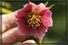 comp_DSC02998.webp