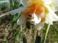 P1300313.webp