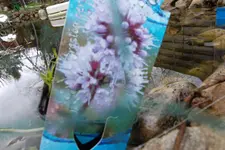 SAM_0454.webp