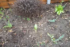 SAM_0457.webp