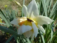 P1300315.webp