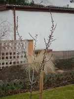 S3279024.webp