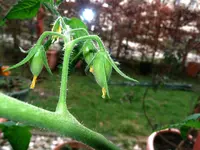 DSCN4839.2.webp
