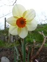 P1300521.webp