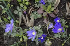 _DSC7874.webp