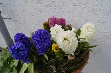 _DSC7873.webp