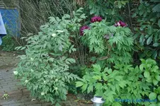 comp_DSC07982.webp