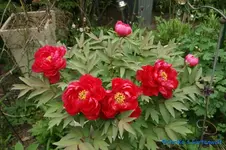 comp_DSC07985.webp