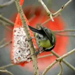 DSCN0003.webp