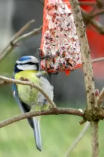 DSCN0004.webp