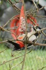 DSCN0007.webp