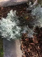 Foto 1.webp