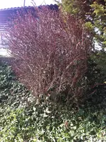 Foto 3.webp