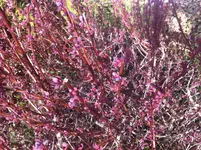 Foto 4.webp