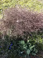 Foto 5.webp