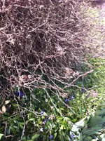 Foto 6.webp
