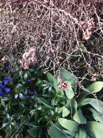 Foto 7.webp