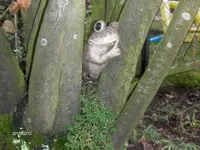 HPIM1276.webp
