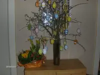 HPIM1364.webp