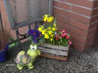 HPIM1365.webp