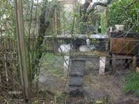 HPIM1373.webp