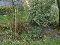 HPIM1375.webp