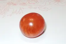 DSCN4863.2.webp