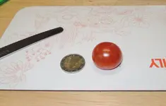 DSCN4868.2.webp