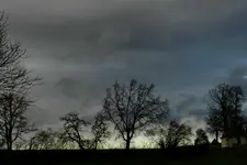 DSCN2539.webp