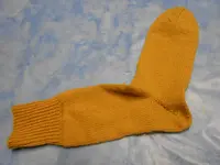DSCN2042.webp