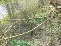 P1080560.webp