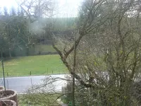 P1080565.webp