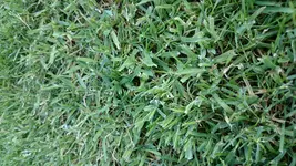 DSC_0346.webp