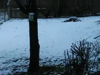 DSCN0001.webp