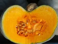 orange (10).webp