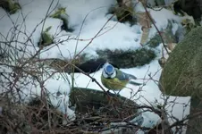 DSCF0447 (2).webp