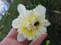 P1300616.webp
