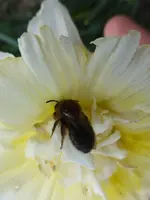 P1300617.webp