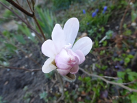 P1300654.webp